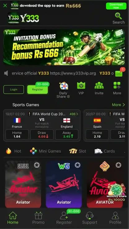 Y333 Game