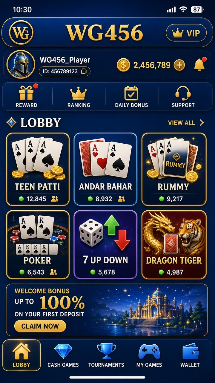 WG 456 GAME